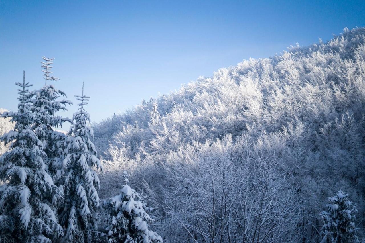 Poniwiec Mala Czantoria Ustroň Exteriér fotografie